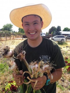 Tomio Endo, one of the first members of the Sonoma Student Growers Cooperative, with his garlic