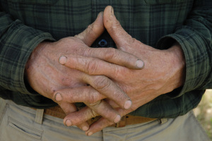 hands