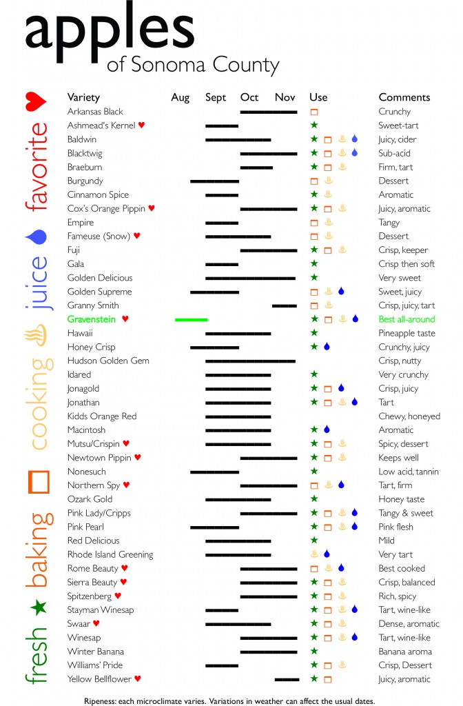 List of Apples Grown in Sonoma County. Among the favorites: Ashmead’s Kernel, Cox’s Orange Pippin, Fameuse (Snow), Gravenstein, Mutsu/Crispin, Newtown Pippin, Norther Spy, Sierra Beauty, Spitzenberg, Swaar, Yellow Bellflower