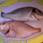 Portuguese Fish