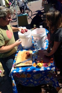 The SFRR Apple Press at the Sebastopol Farmers Market