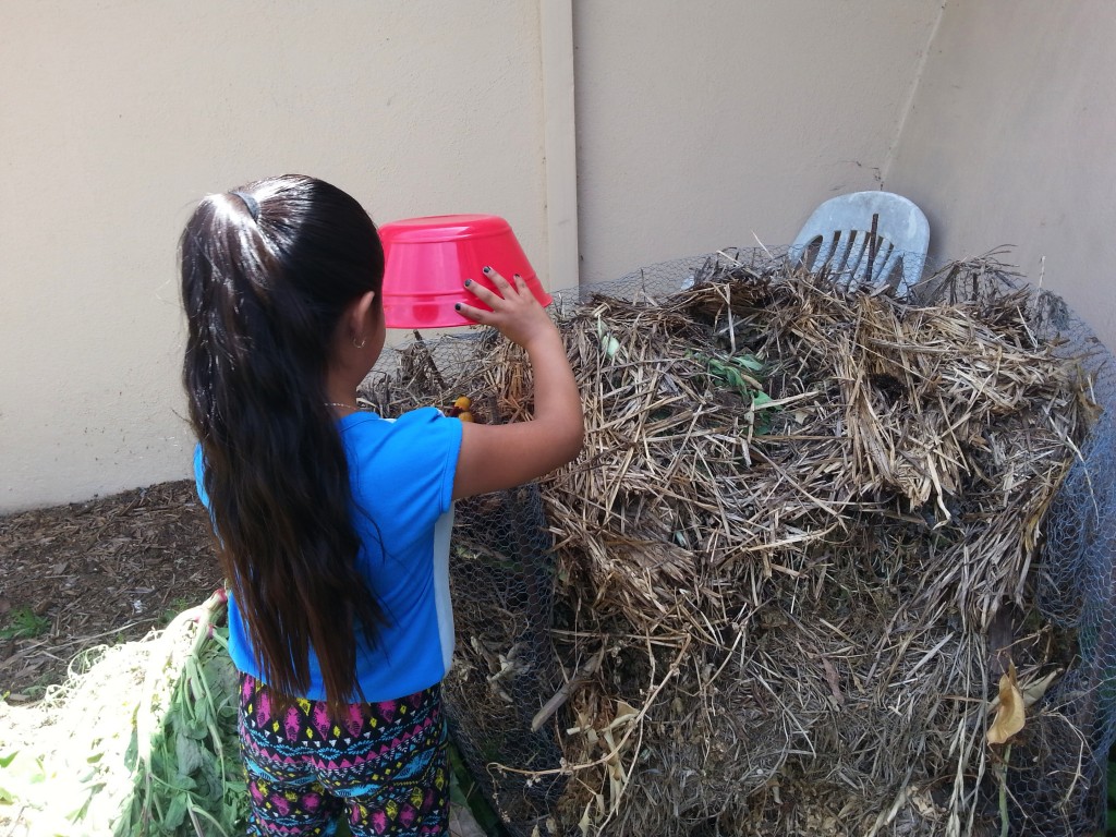 This student is composting apple cores in the compost heap in the garden.