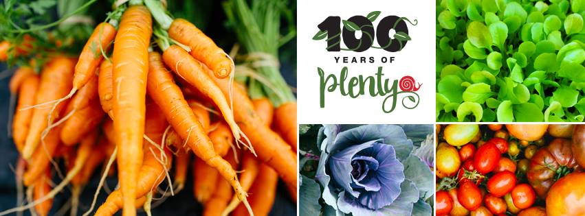 100 Years of Plenty Campaign
