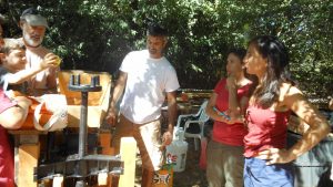 Volunteering with the Slow Food Russian River Apple Core at the Community Apple Press, Luther Burbank Gold Ridge Experiment Farm, Sebastopol, CA