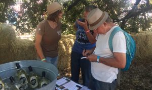 Got Cider - Jolie Devoto-Wade and Darlene Hayes talking with Jonah Raskin taking notes at the 2016 Gravenstein Apple Fair