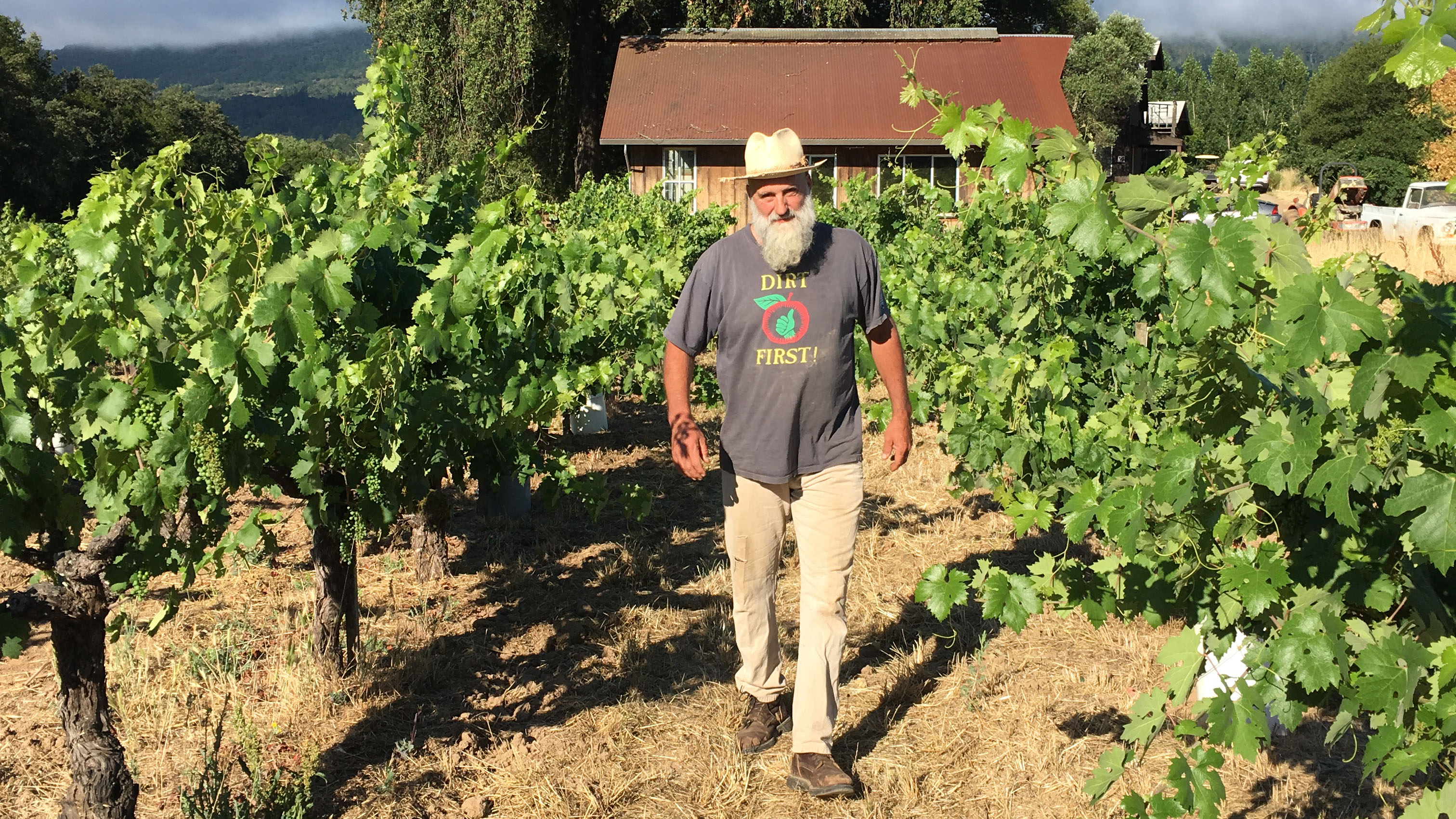 Will Bucklin walking in his Field Blend vineyard