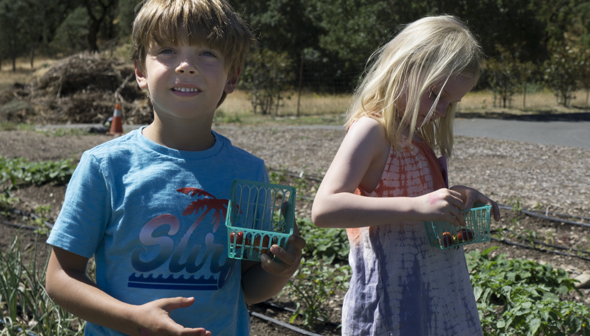 2018 Children Strawberry Feasts Forever