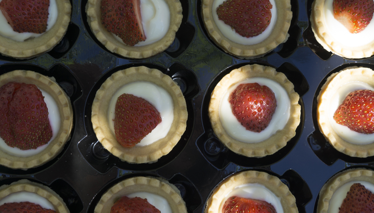 2018 Children Strawberry Feasts Forever