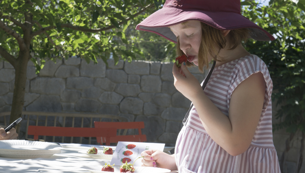 2018 Children Strawberry Feasts Forever