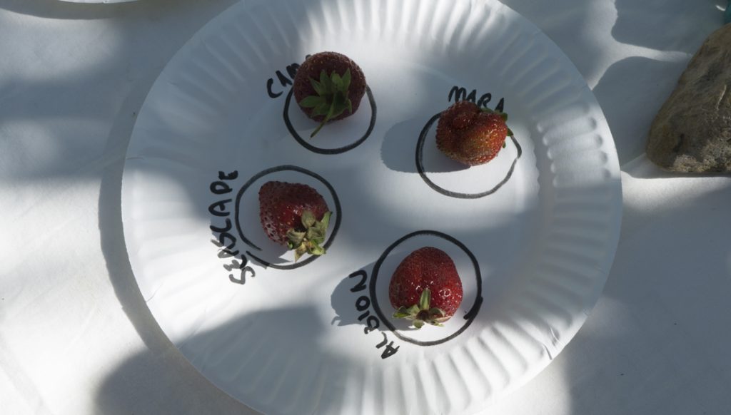 2018 Children Strawberry Feasts Forever