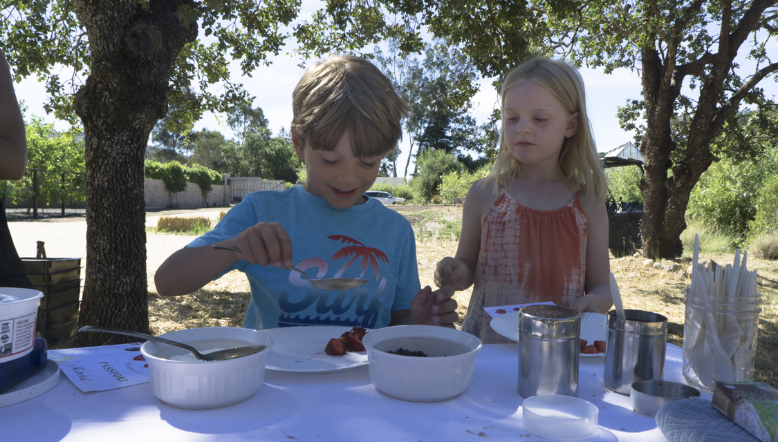 2018 Children Strawberry Feasts Forever