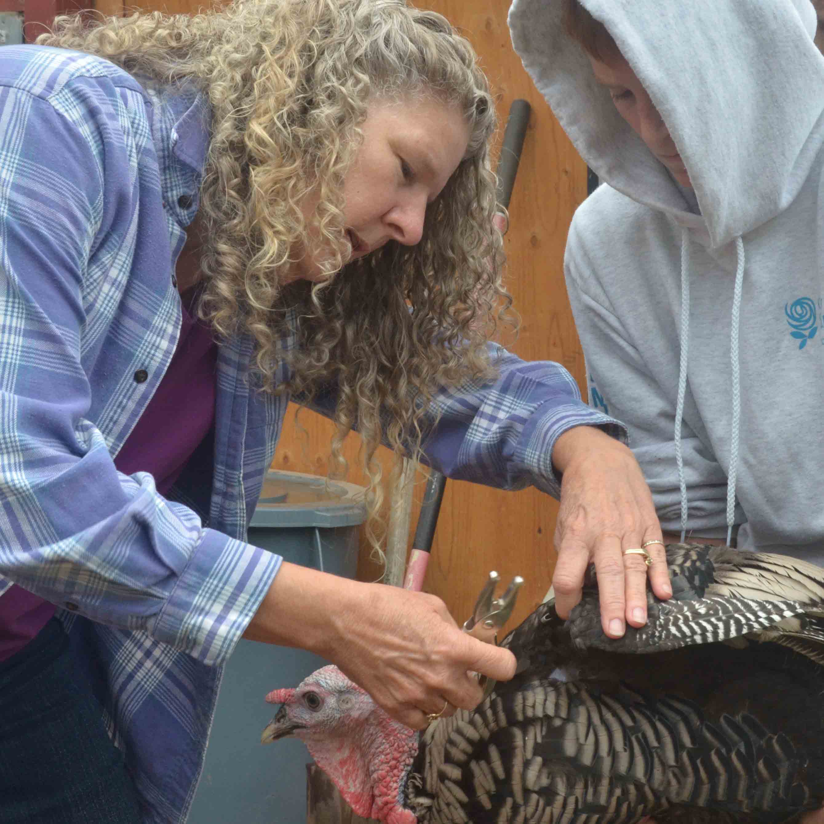 Catherine Thode – Slow Food Russian River Honoree Dinner