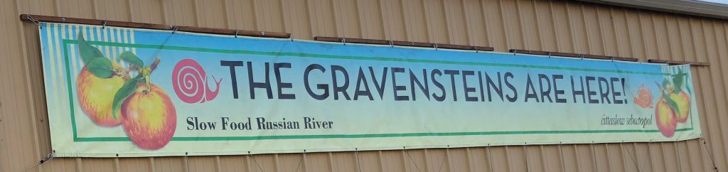 Gravenstein harvest has begun