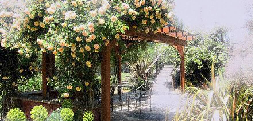Garden at the Lavine's