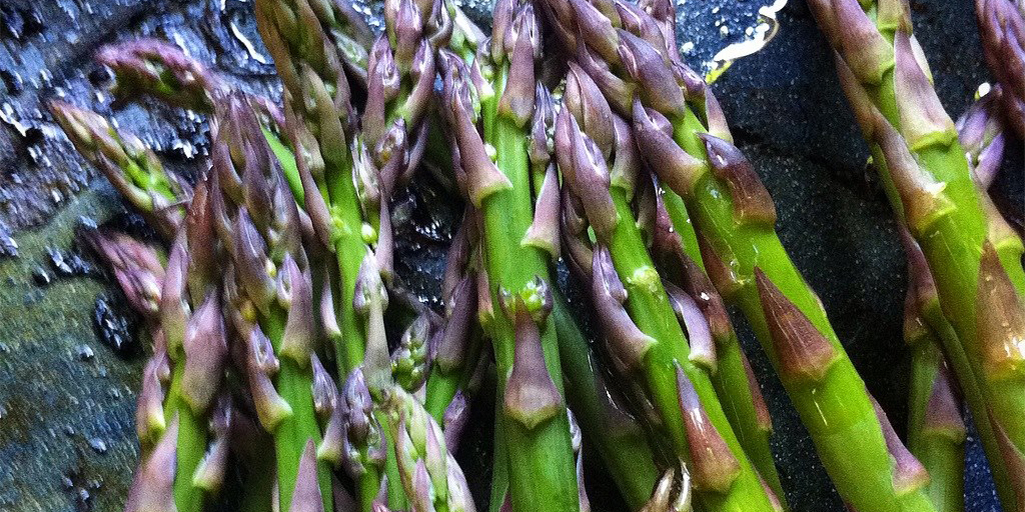 Asparagus with sweet purple tips on the Slow Food Russian River's grill. — in Sebastopol, California.