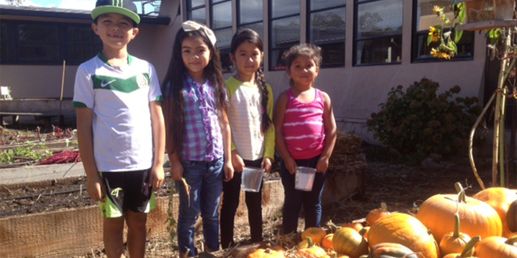 Steele Lane Elementary Looking for a Garden Coordinator