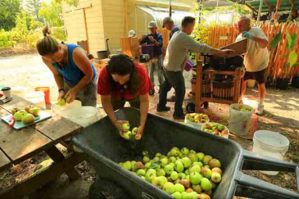 Apple waste eliminated with SFRR press (JOHN BURGESS)01