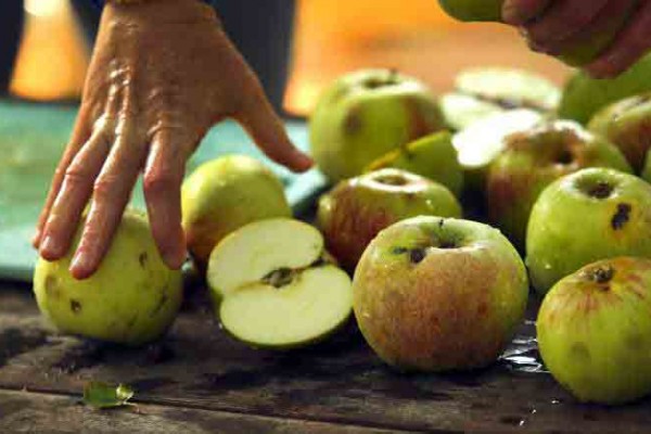 Apple waste eliminated with SFRR press (JOHN BURGESS)03