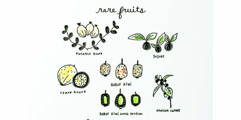 California Rare Fruit Growers
