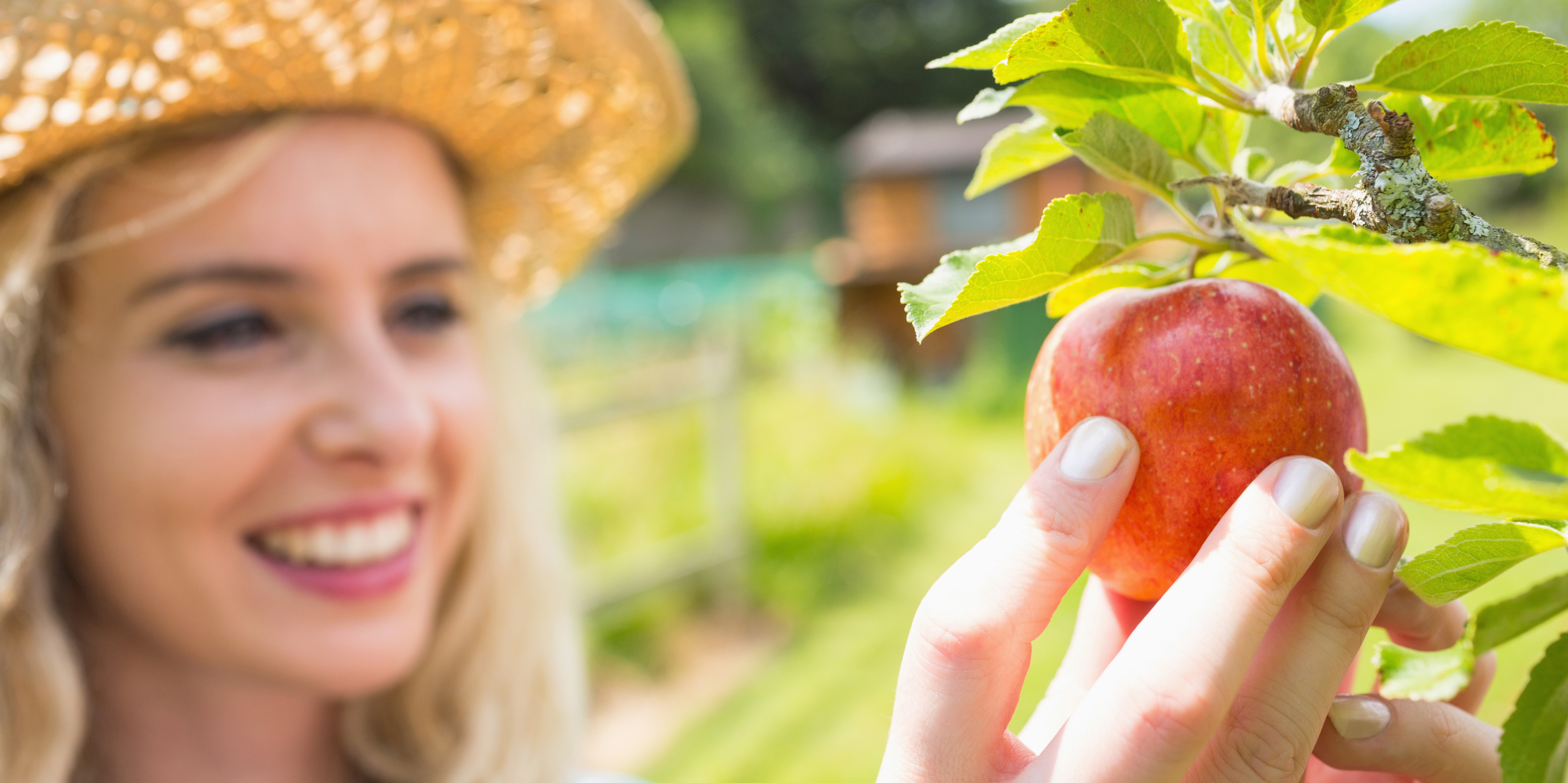 Young happy blonde picking an apple from a tree