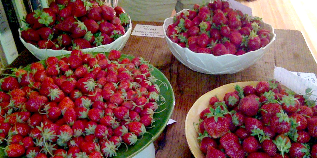 Strawberry Feast at Glen Oak Ranch