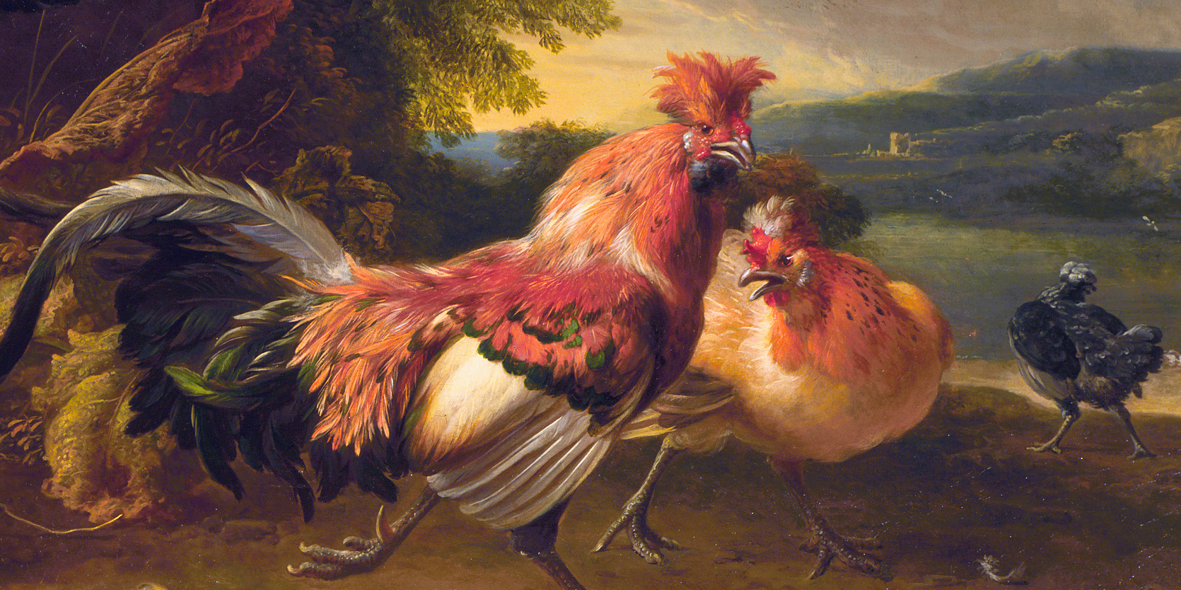 Chickens and Ducks, by Melchior d' Hondecoeter