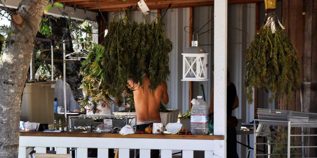 Prop 64 and Slow Food values