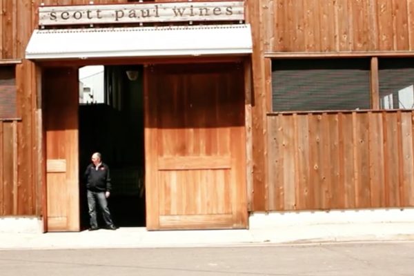 American wine story 12