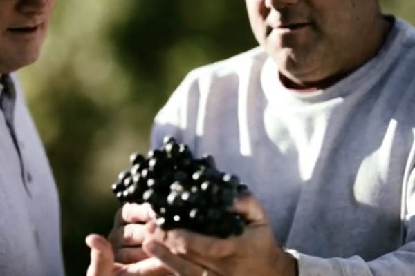 American wine story 13