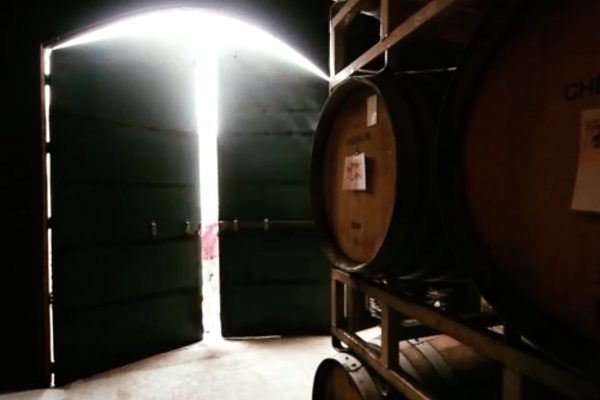 American wine story 17