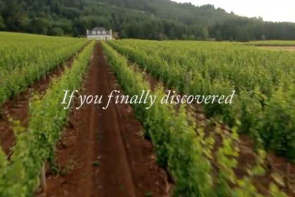 American wine story 18