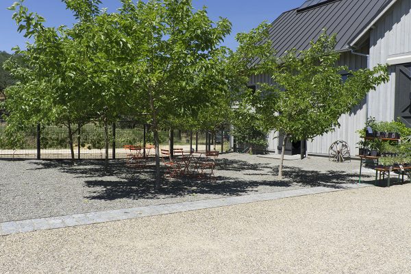 13450 Sonoma Highway 12, Glen Ellen, CA 95442 – Courtyard