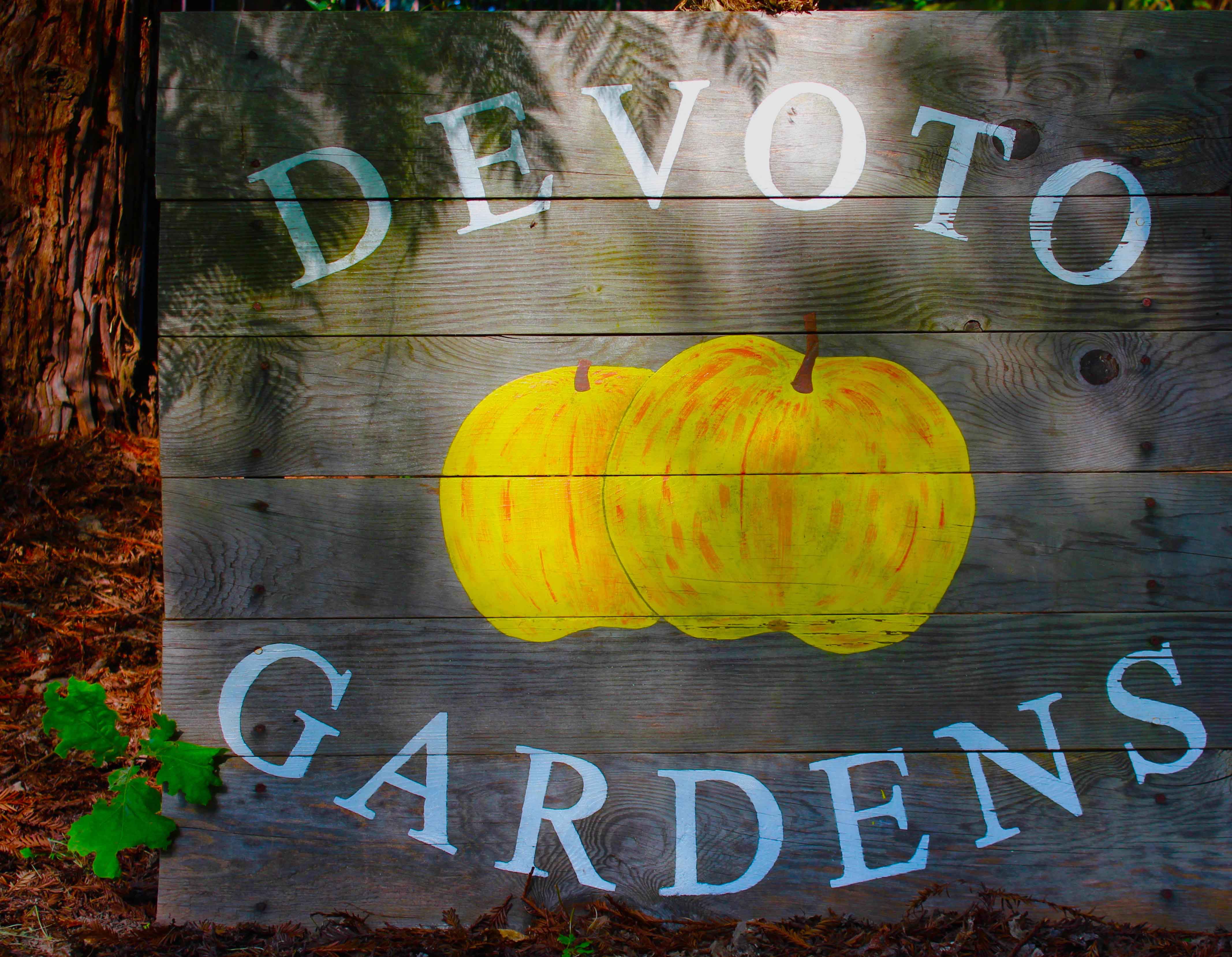 Golden Gate Cider – Sebastopol, CA