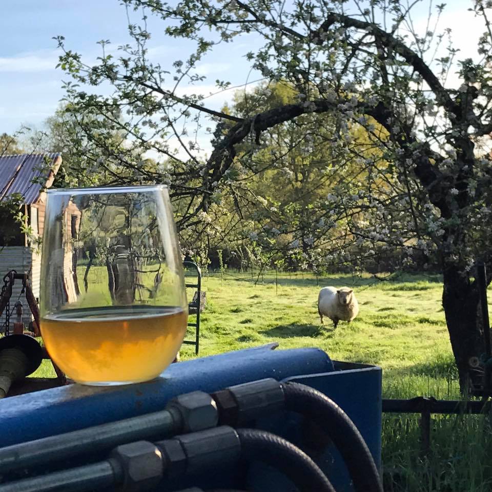 Cider Revival at Tilted Shed's Fireball Farm